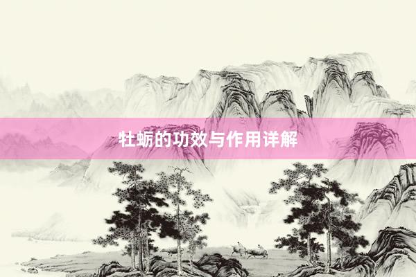 牡蛎的功效与作用详解