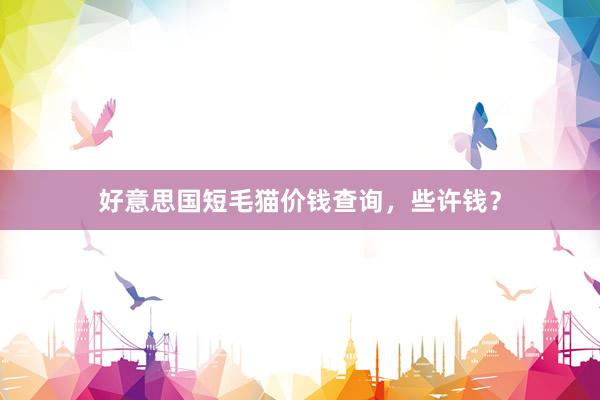 好意思国短毛猫价钱查询，些许钱？